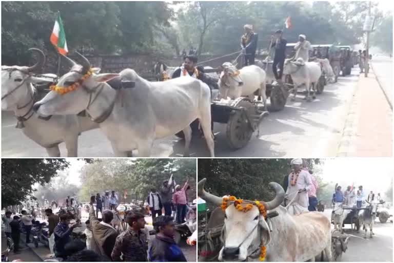 farms law 2020,  tractor rally in sawai madhopur