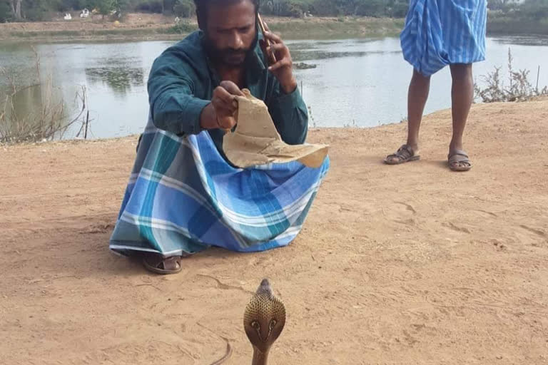 வடலூரில் பாம்பு கடித்து முன்னாள் ராணுவ வீரர் உயிரிழப்பு