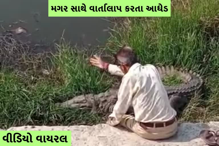 વીડિયો વાયરલ