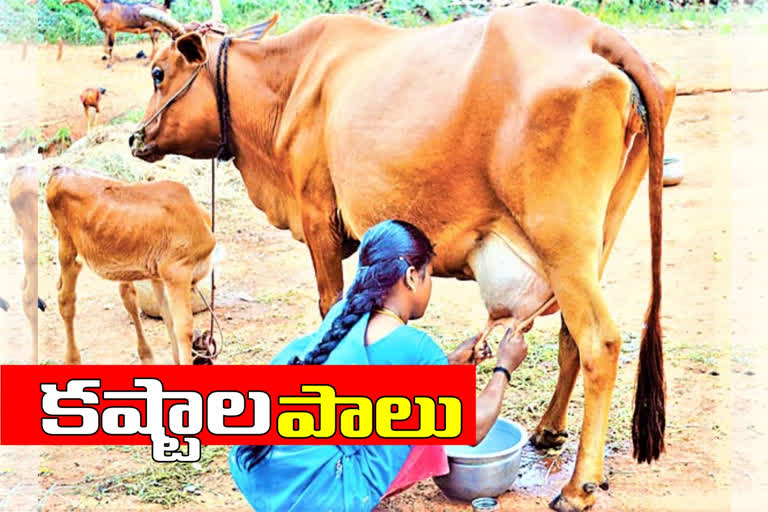 milk-shortage-in-telangana