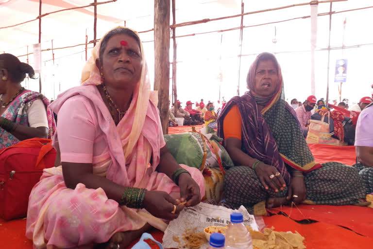 कष्ट करून सर्वांचे पोट भरतो, पण सरकारला दयामाया नाही! आदिवासी महिला शेतकऱ्यांची व्यथा