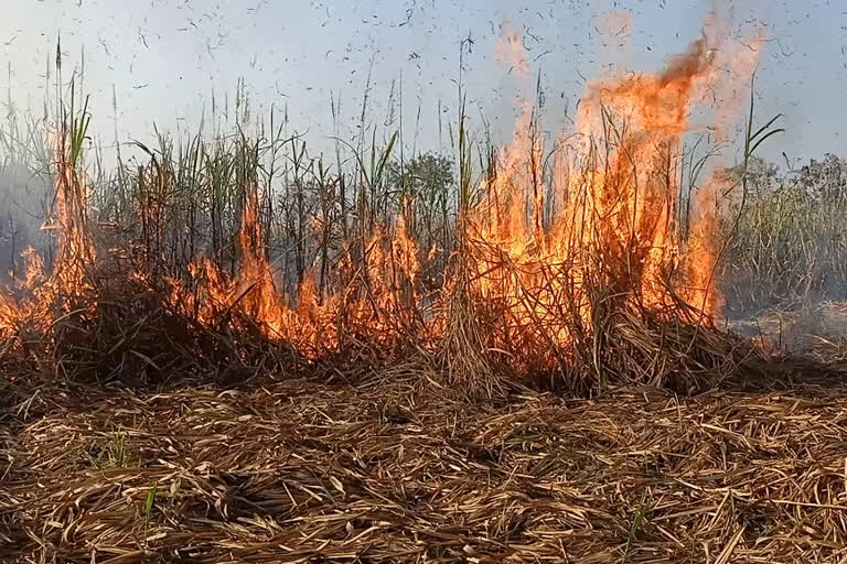 Fire to the cane Land in Belagavi