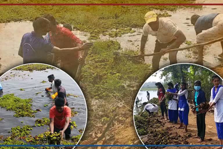 cleaning of tandula river
