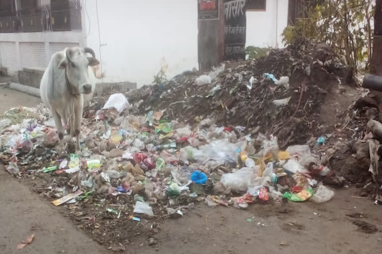 plastic-polythene waste free villages