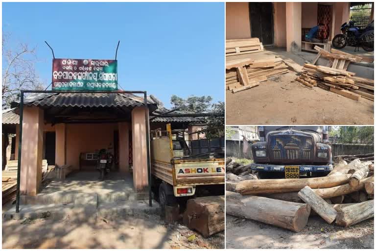 wood seized in nayagarh