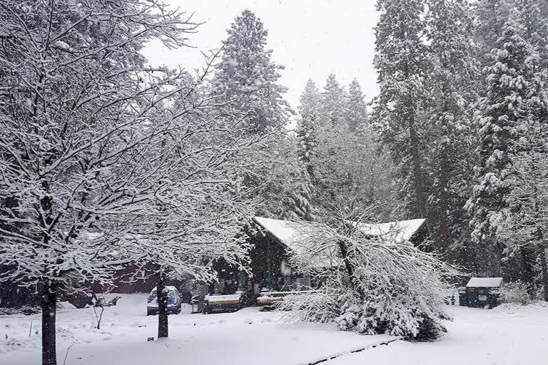 ‘Historic’ snow blankets parts of Midwest, disrupts travel