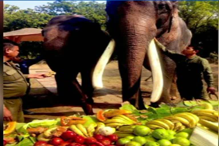 Favorite food given to wildlife at Delhi Zoo on Republic Day