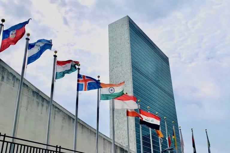 Indian economy estimated to contract by 9.6pc in 2020: UN report