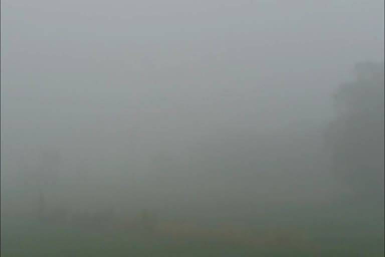 fog affects life in kotdwar