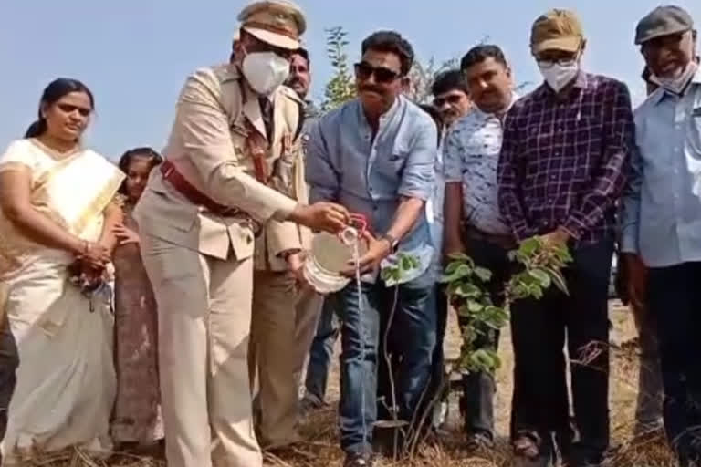 साताऱ्यात ३० एकरावर साकारणार जैवविविधता उद्यान