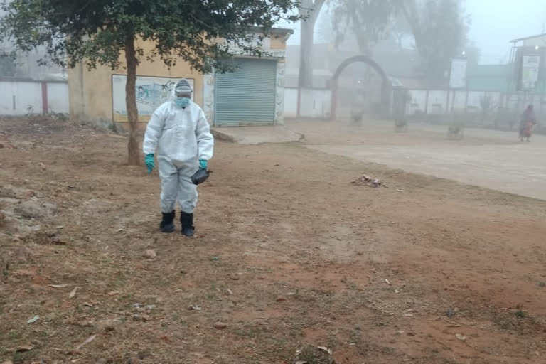 Dead body of crows disposed by Veterinary Department