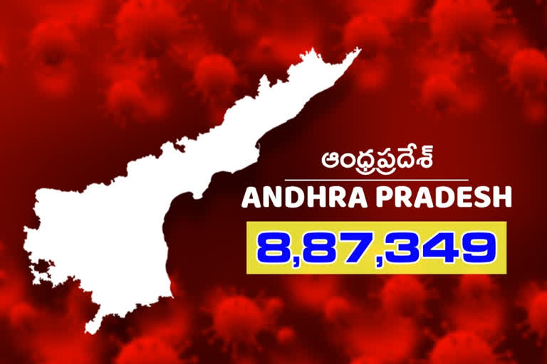 andhra pradesh corona cases updates