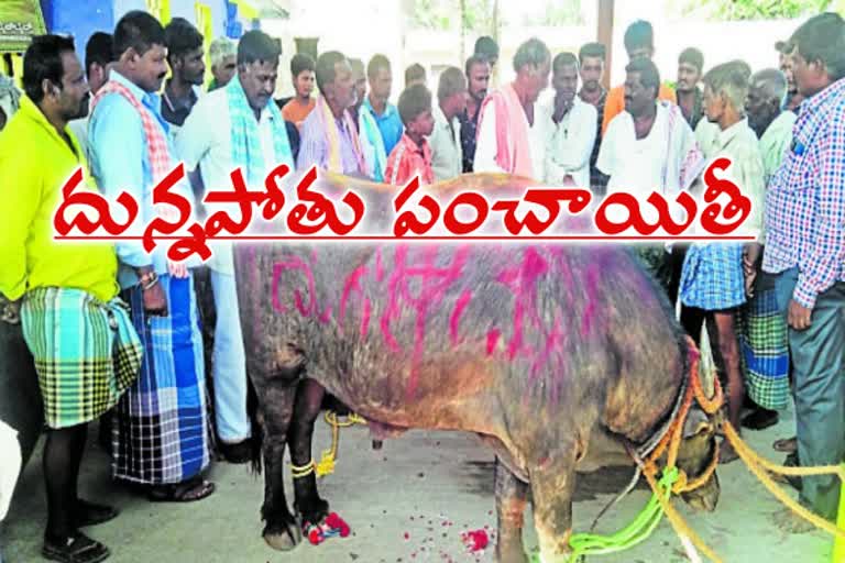 Three villagers stepped into police station for one buffalo!