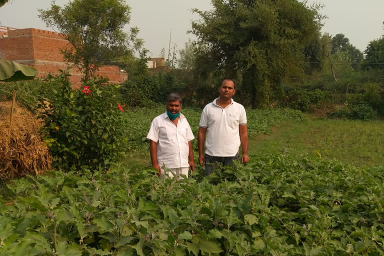 गोमूत्र आधारित खेती