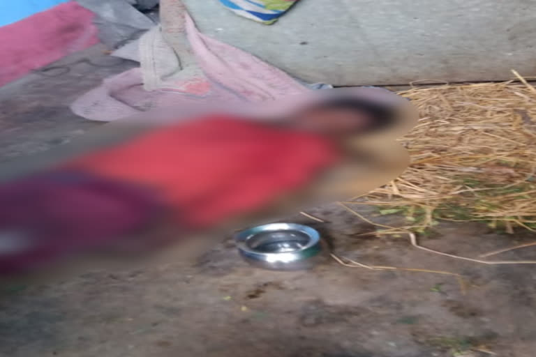 childs-dead-body-recovered-in-hazaribag