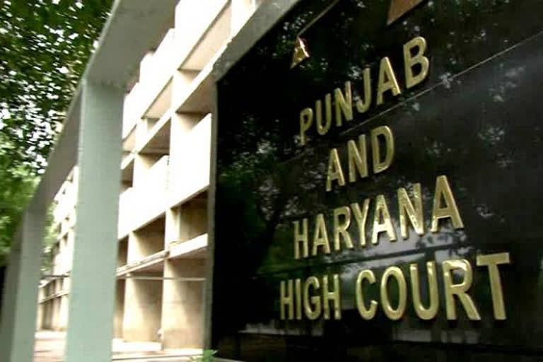 haryana high court criminal matters