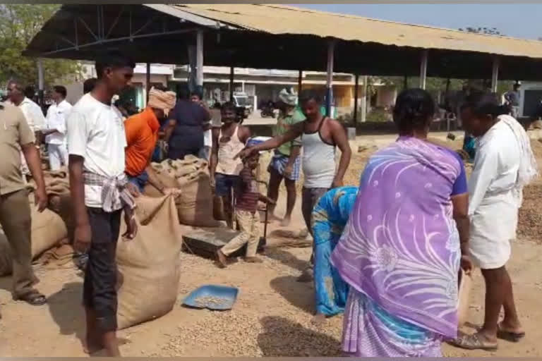 Peanut price at Gadwala Agricultural Market Peanut price is creating record in the market yard from last two weeks