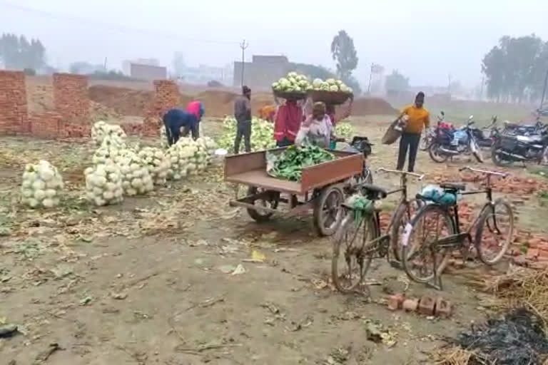 सब्जी उत्पादकों को किसान आंदोलन के चलते हो रहा भारी नुकसान