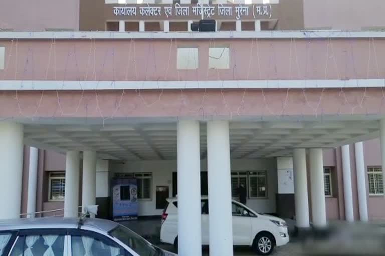 new Collectorate