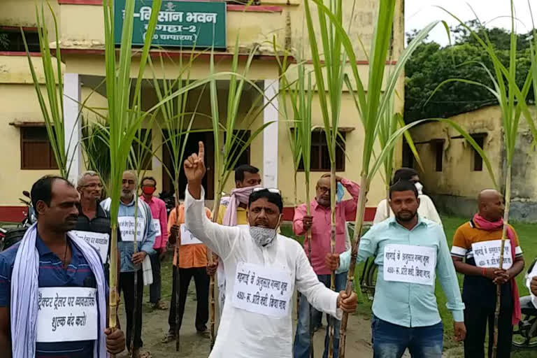 sugarcane rate in west champaran