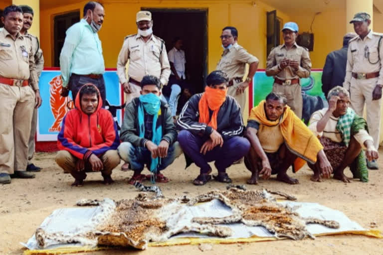 five inter state smugglers arrested with 2 leopard skins