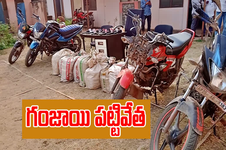 140 kgs cannabis caught by police in maredupalli