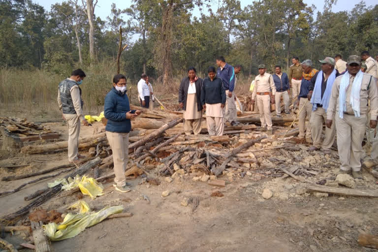 Forest department removed illegal possession in Surguja