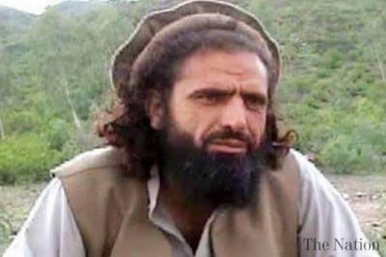 pak terrorist, afganistan