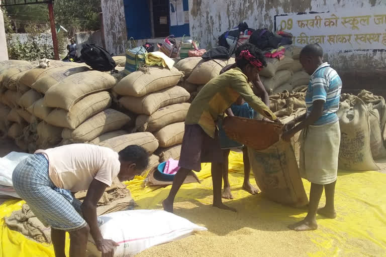 More paddy purchased in Dantewada this year