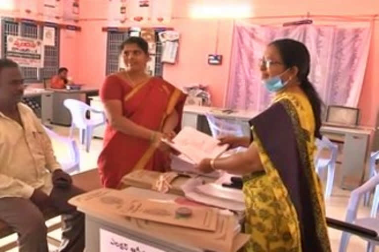 Process of Panchayat Election Nominations started in Guntur District