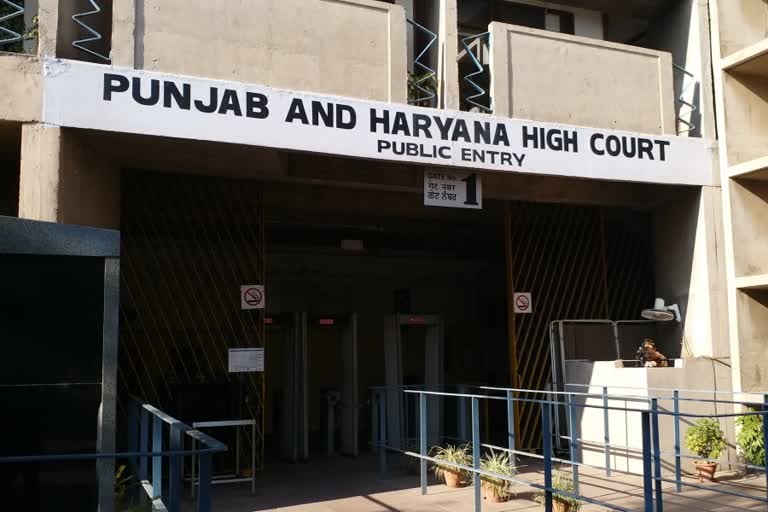 chandigarh punjab haryana highcourt