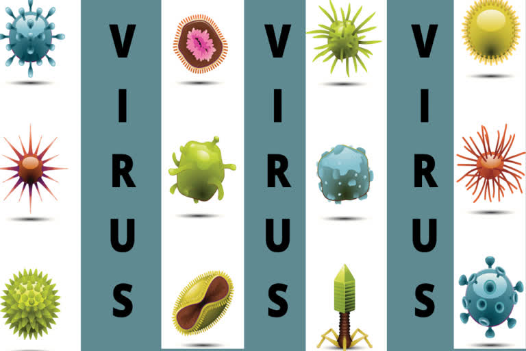 what is virus,what are the facts about viruses