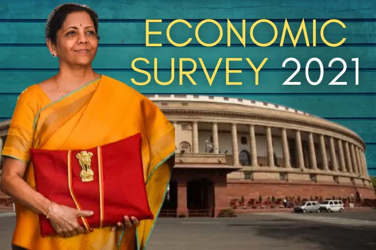 Eco Survey