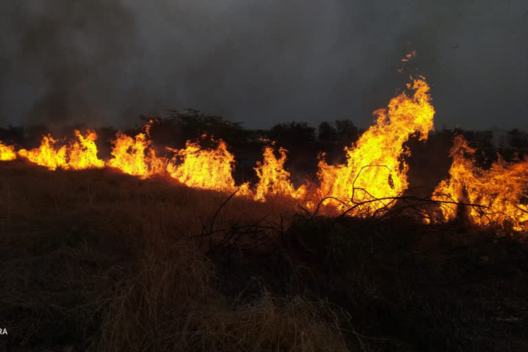 Fire accident on SK University campus