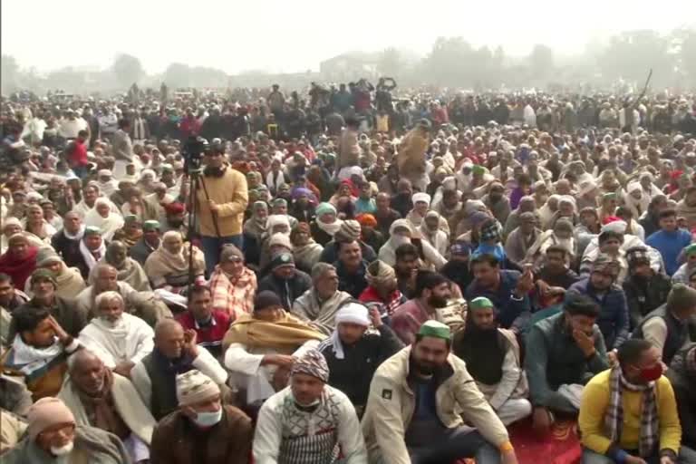 Farmers to hold 'Sadbhavna Diwas' on January 30, observe day-long fast