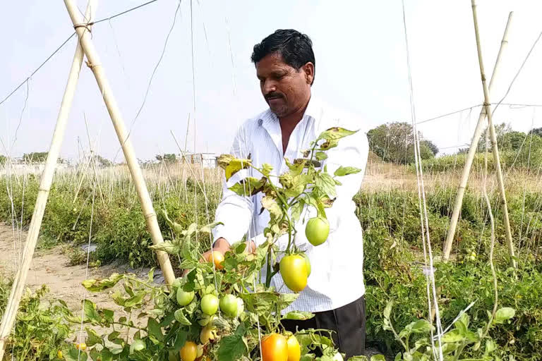 farmer bhausaheb shinde