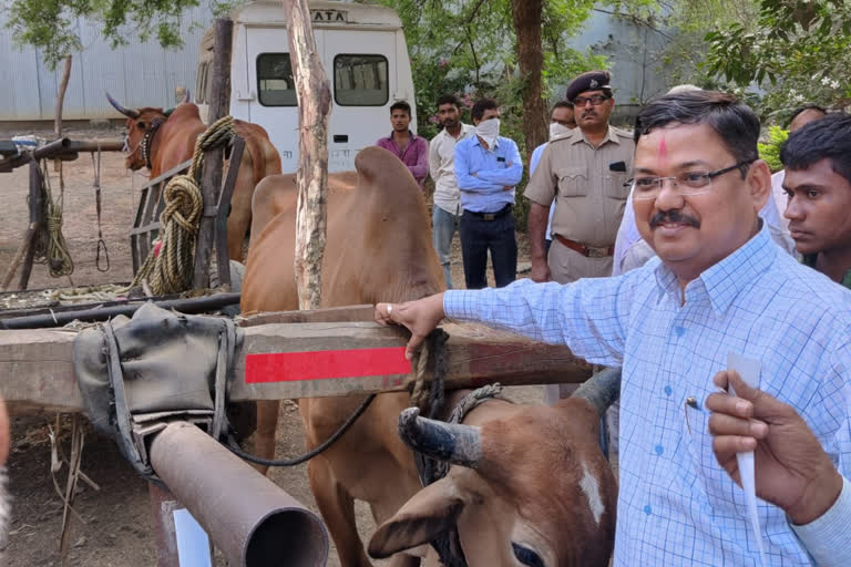 ऊस वाहतूक करणाऱ्या वाहनांनी रिफ्लेक्टर लावणे आवश्यक