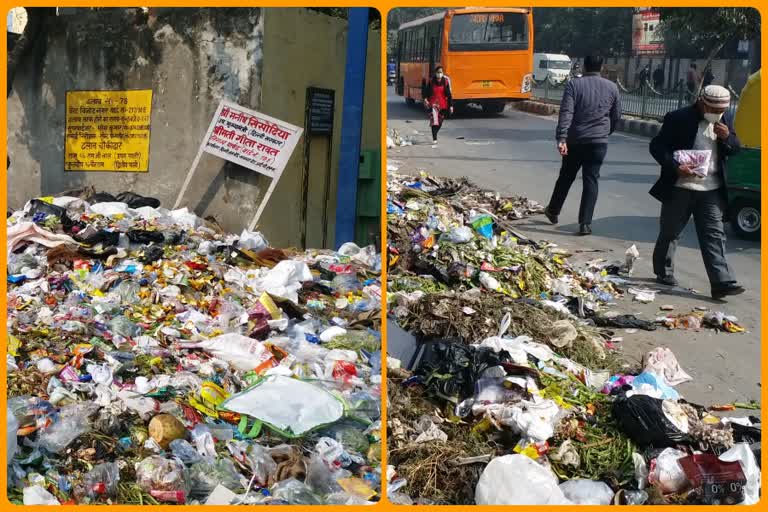 Garbage was dumped everywhere in  Vinod Nagar in Delhi