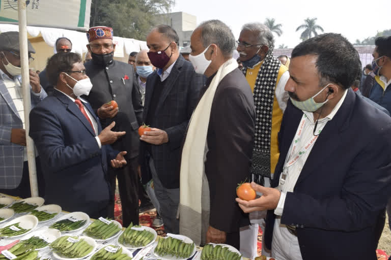 भारतीय सब्जी अनुसंधान संस्थान