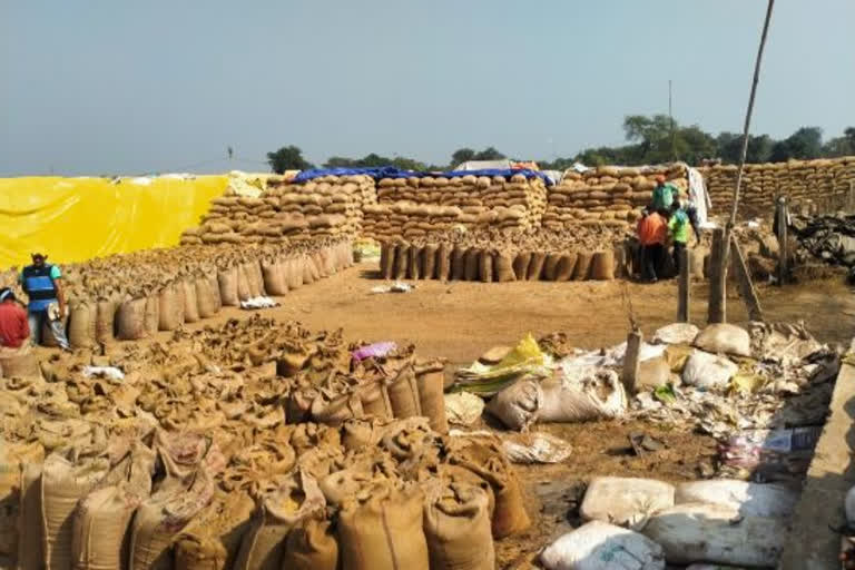 Increased number of farmers in paddy purchase committees