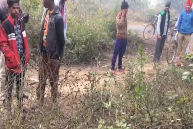 five peacocks die in sandi block