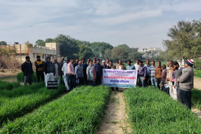 सीकर में कृषि कार्यक्रम, Agricultural Program in Sikar