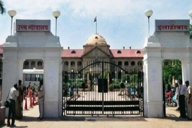 allahabad high court