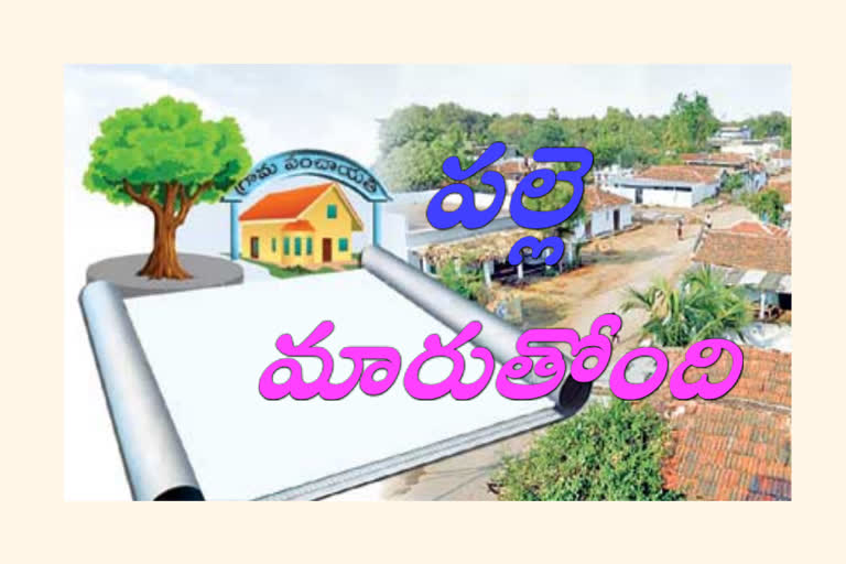 Village Development