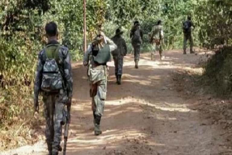 16 Naxals surrender in Chhattisgarh's Dantewada district