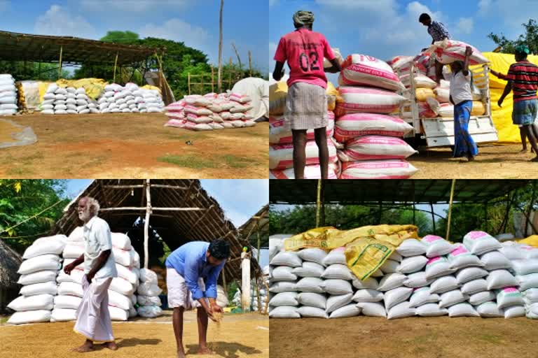 paddy purchasing center