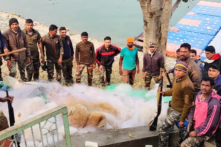 तोतलाडोह जलाशयात अवैध मासेमारी करणाऱ्यास अटक