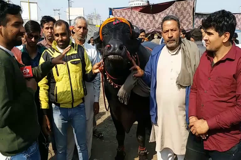 farmers protest against agriculture law in sonipat