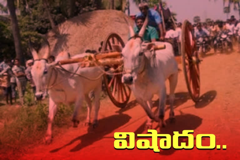 bullock cart rollover at warangal rural district