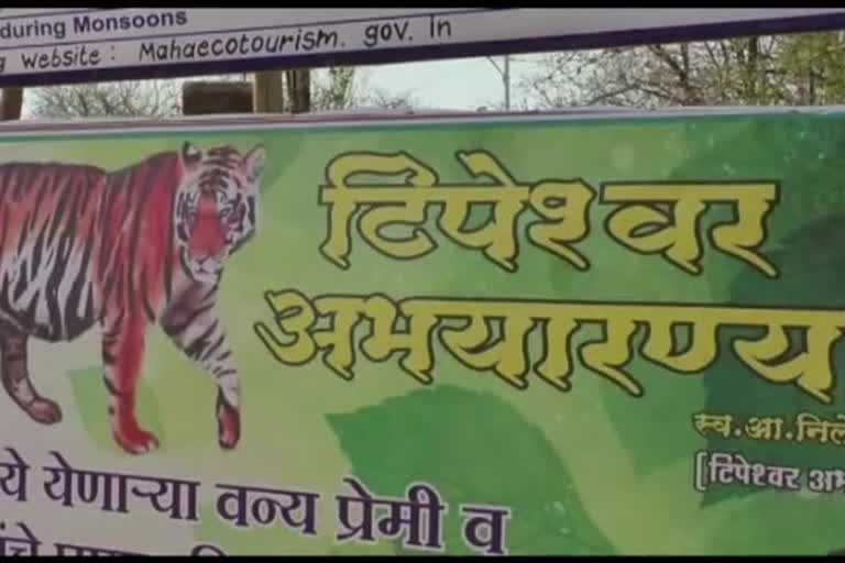 टिपेश्वर अभयारण्य